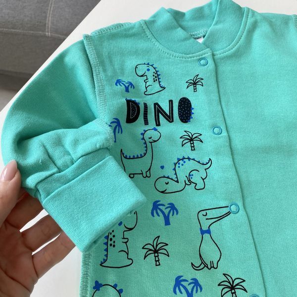 Чоловічок з начосом &laquo;Dino&raquo; ментоловий 62 розмір 1470 фото